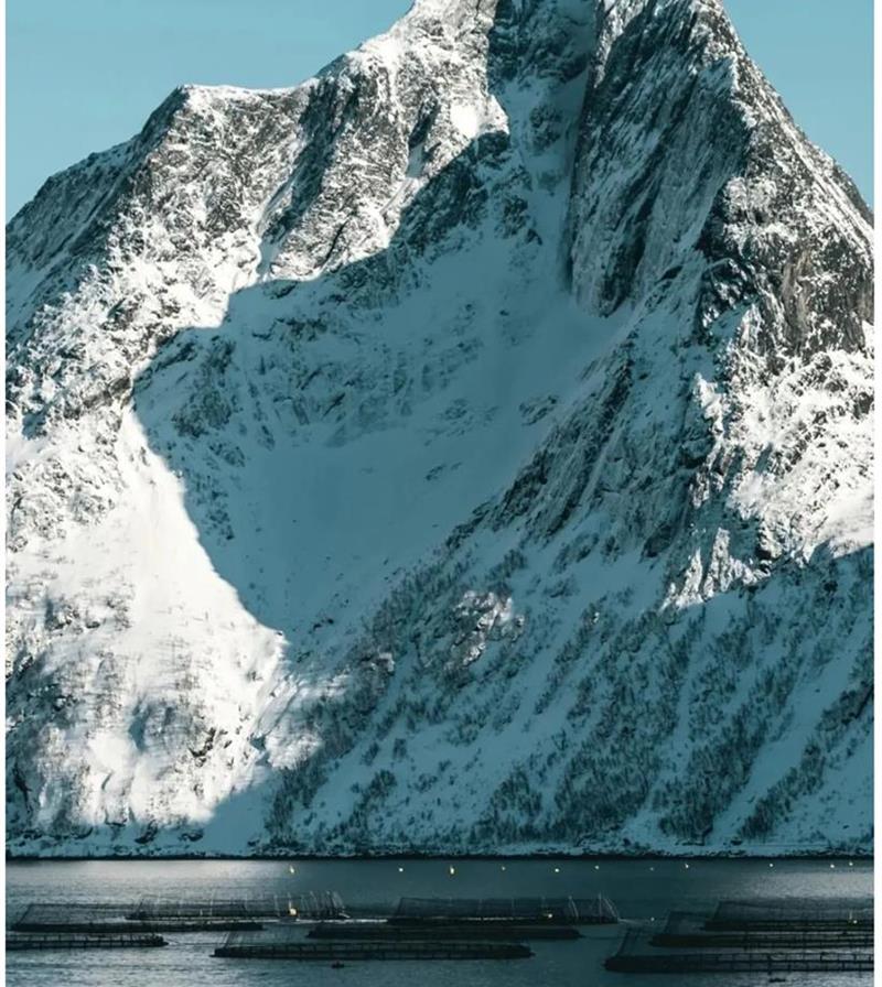 Awesome Image
