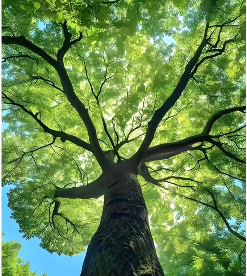 Awesome Image